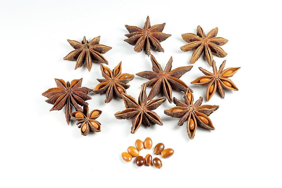 Aniseeds Exporters, Wholesaler & Manufacturer | Globaltradeplaza.com