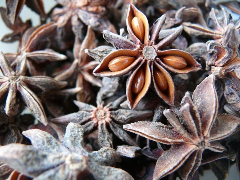 resources of Star Anise exporters