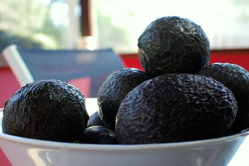 resources of Avocados exporters