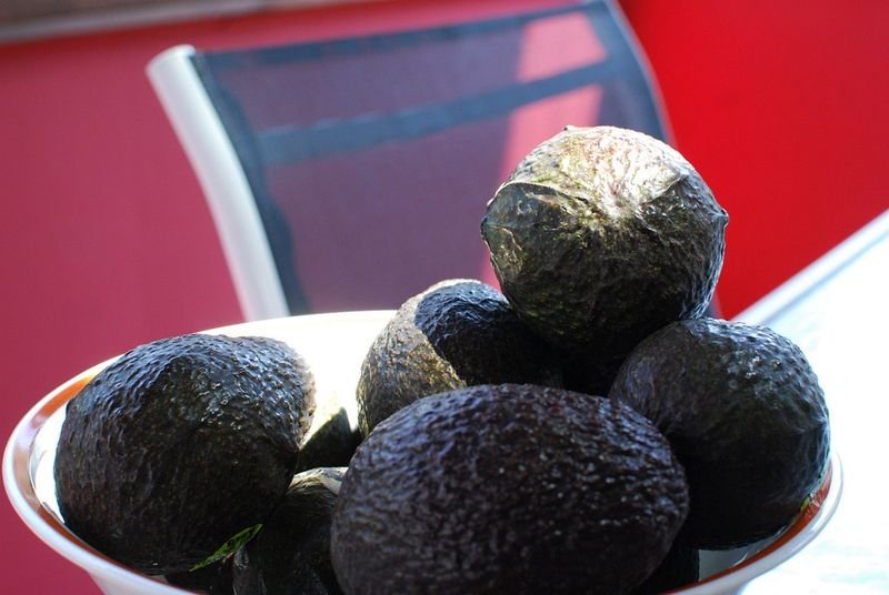resources of Frozen fresh avocados exporters