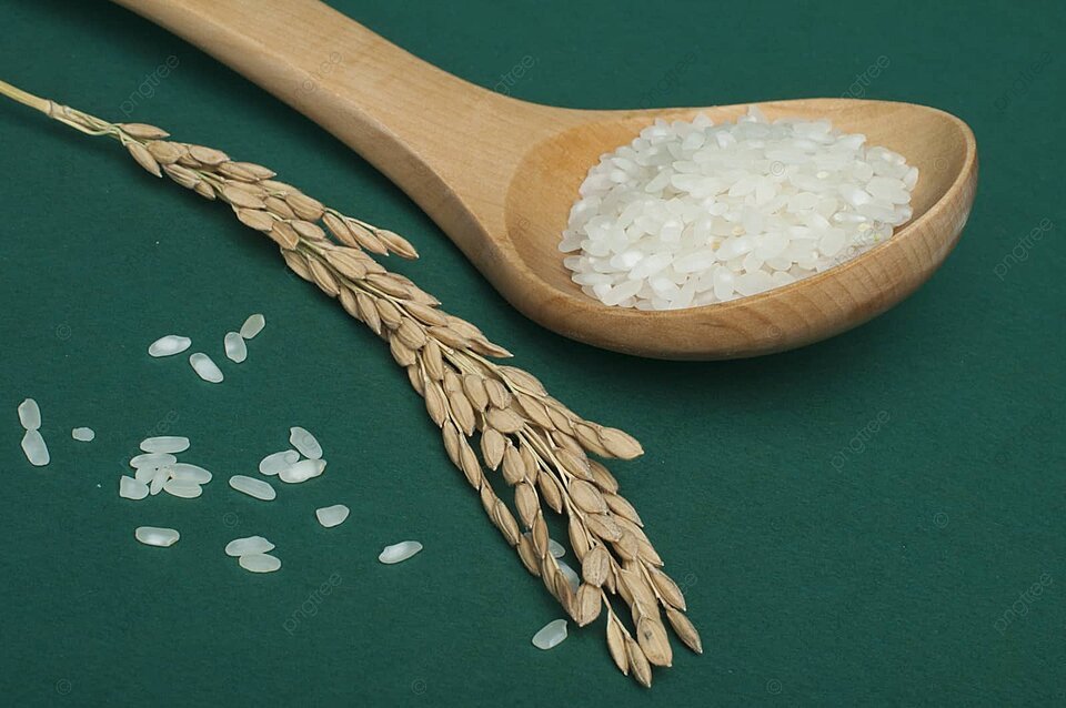 resources of Urad Gota, Spilt Urad, Skin Urad And Black Gram exporters