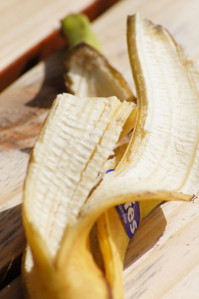 resources of Banana Powder exporters