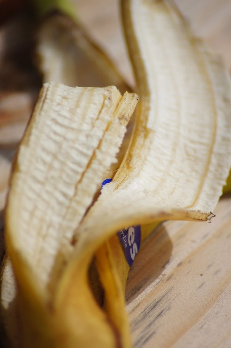 resources of Banana Leaf exporters