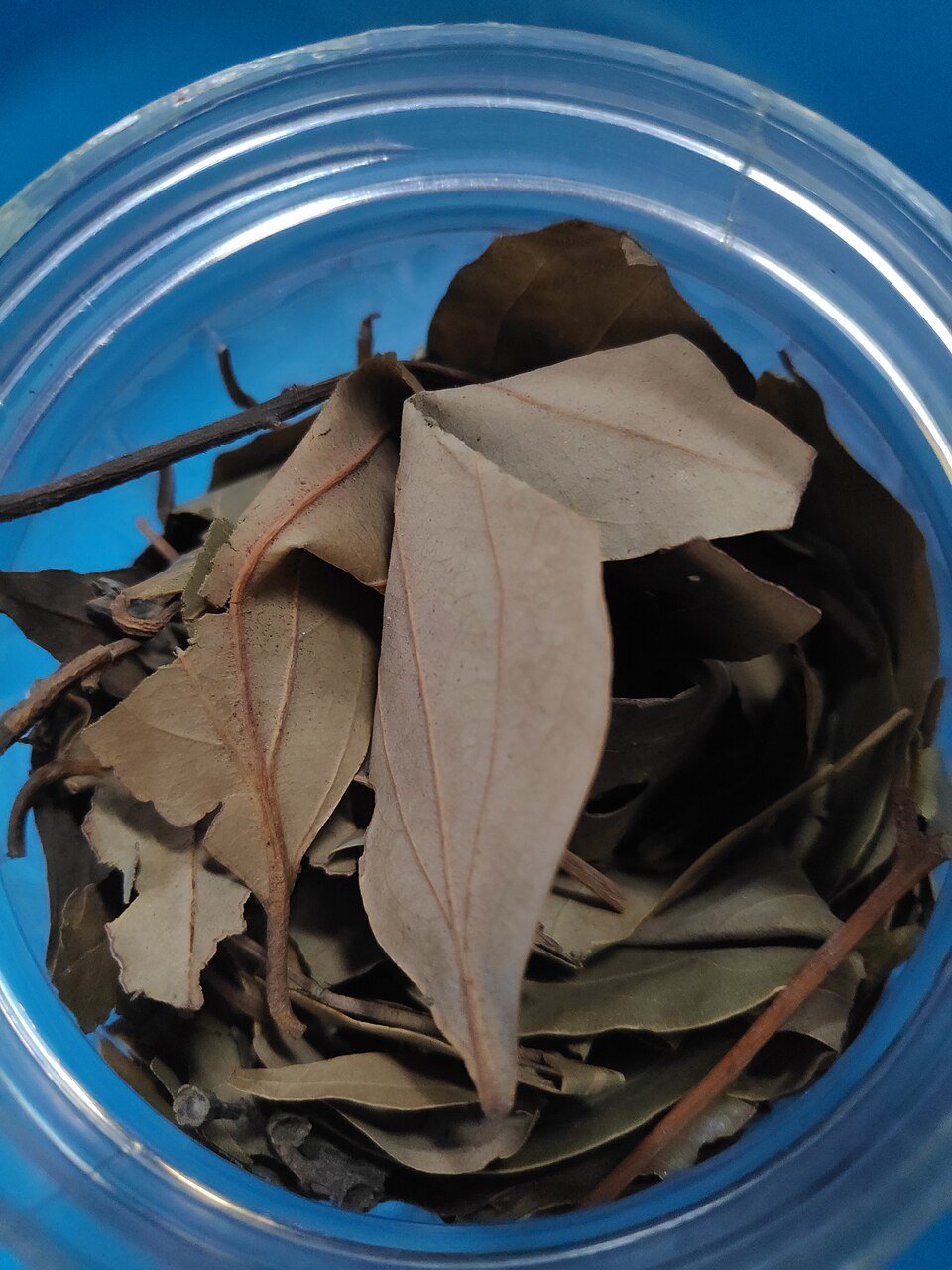 resources of Bay Leaf exporters