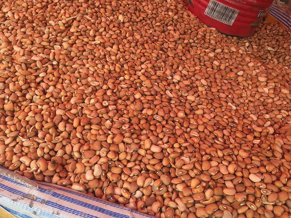 Beans Exporters, Wholesaler & Manufacturer | Globaltradeplaza.com
