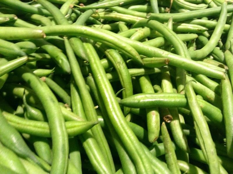 resources of Baby Lima Beans exporters resources of Baby Lima Beans exporters