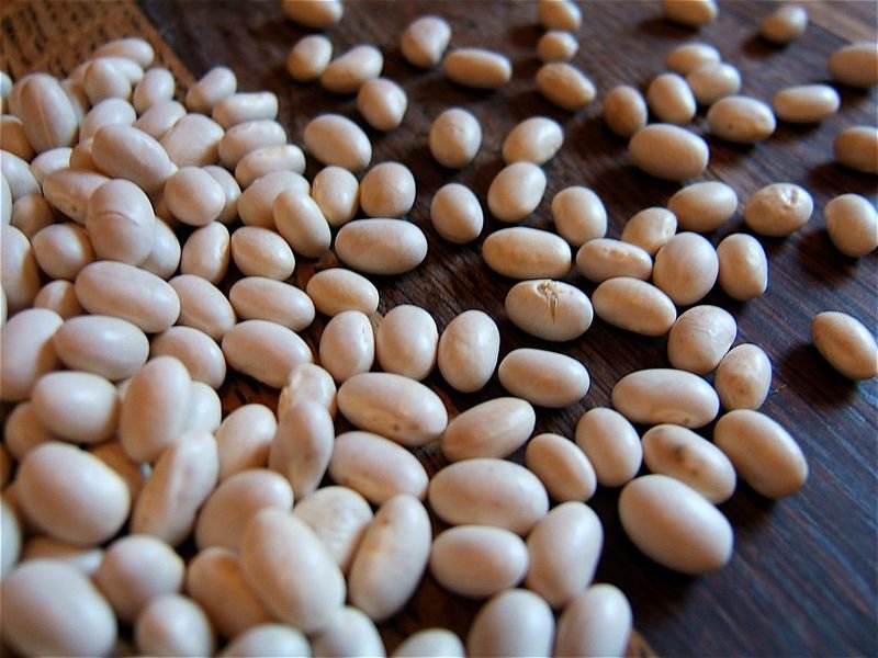 resources of Lima Beans exporters