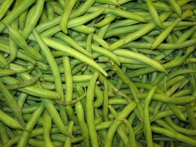 resources of African oil bean exporters