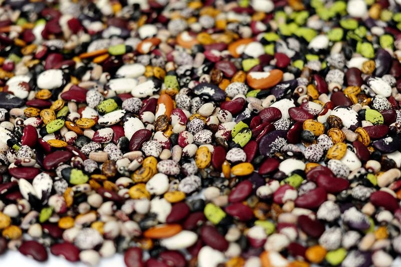 resources of Mung Beans exporters