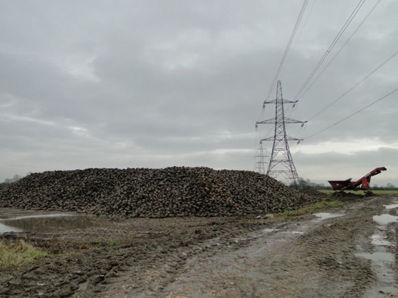 resources of Pvc Coated Gabion Box exporters