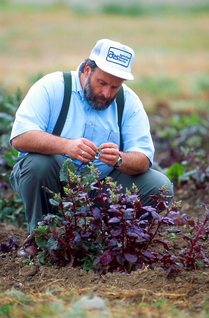 resources of White Beet Sugar 2023 1 exporters