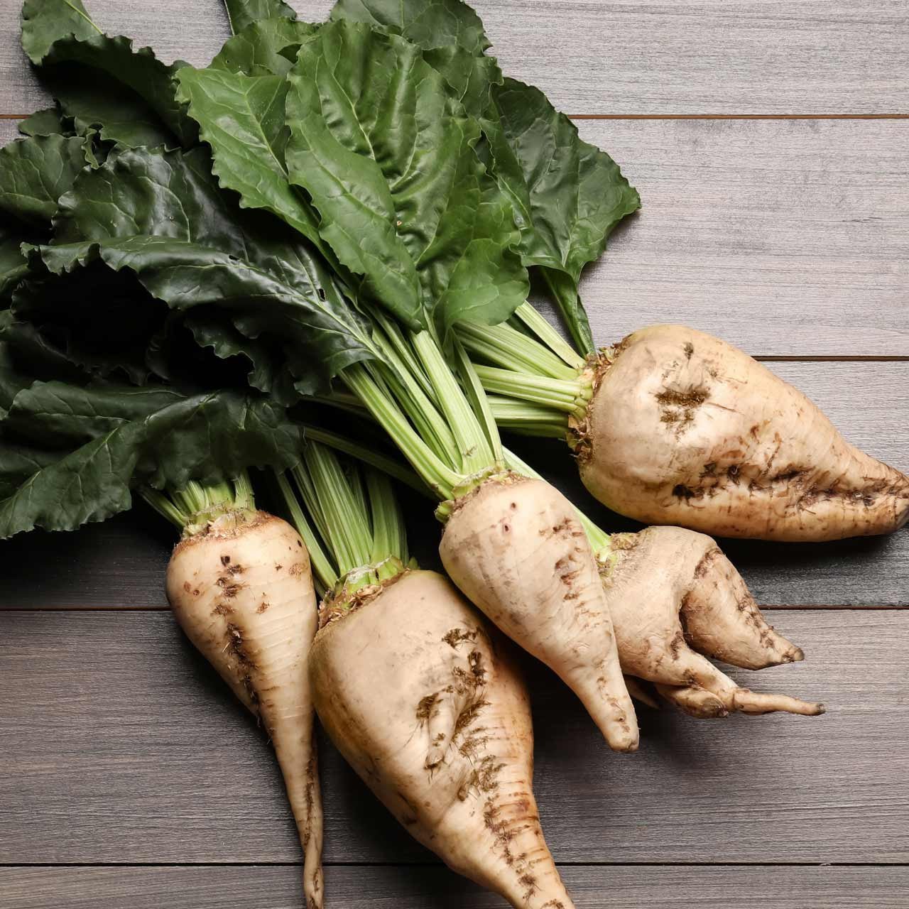 resources of White beet sugar exporters
