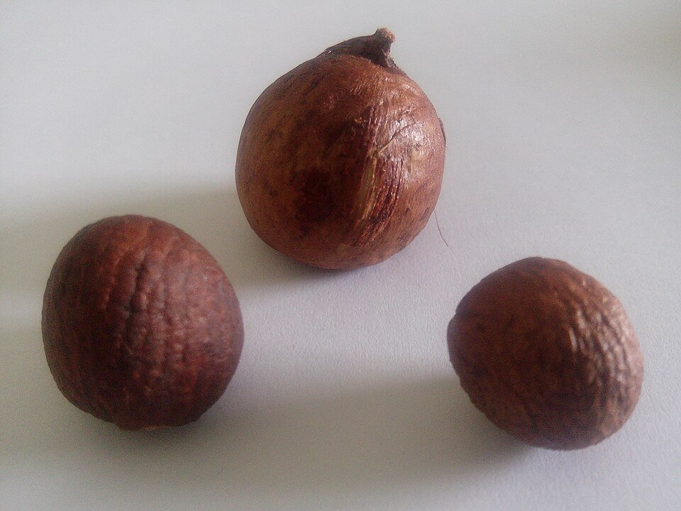 Betel nut Exporters, Wholesaler & Manufacturer | Globaltradeplaza.com