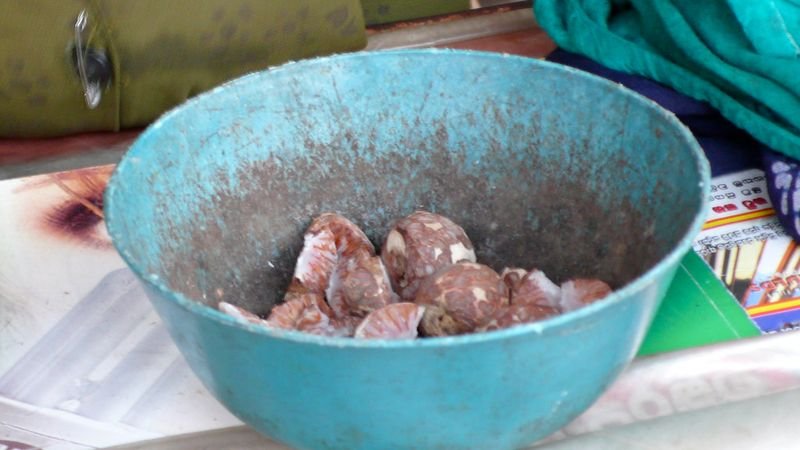 resources of Frozen Betel Nut exporters