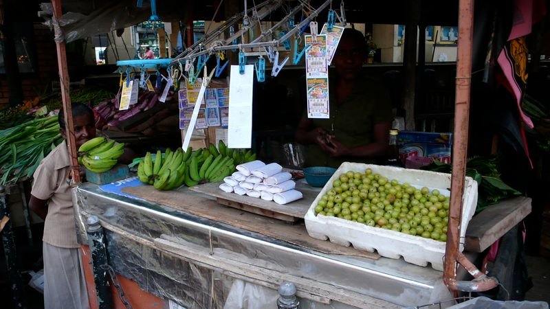 resources of Betel Nuts exporters resources of Betel Nuts exporters