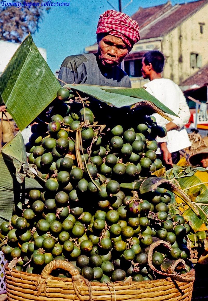 resources of Betel Nut 90-95 exporters