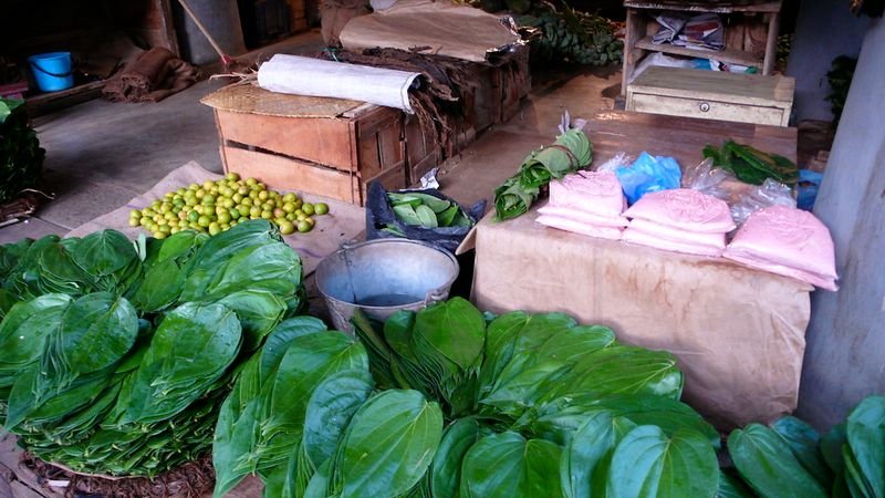 resources of Betel leaf and nuts exporters
