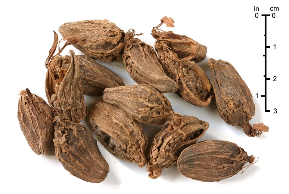 Black Cardamom Exporters, Wholesaler & Manufacturer | Globaltradeplaza.com
