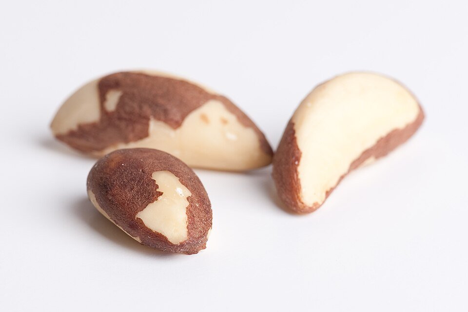 Brazil Nuts Exporters, Wholesaler & Manufacturer | Globaltradeplaza.com