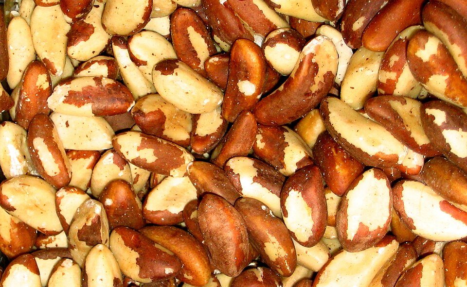 resources of Farm Product Brazil Nuts exporters
