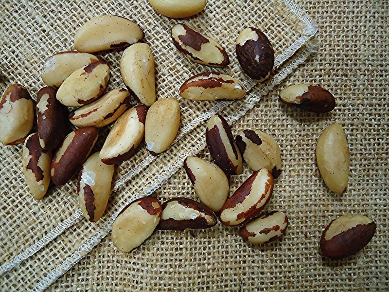 resources of Raw Brazil Nuts exporters