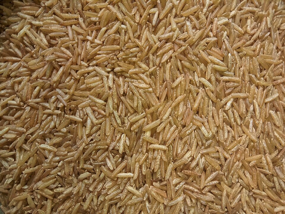 Brown Rice Exporters, Wholesaler & Manufacturer | Globaltradeplaza.com
