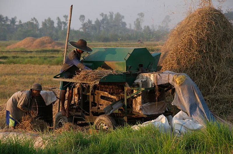 resources of Brown Rice exporters