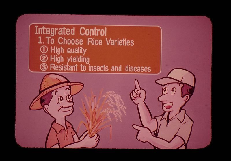 resources of (FactView) Dengue NS1 Antigen exporters