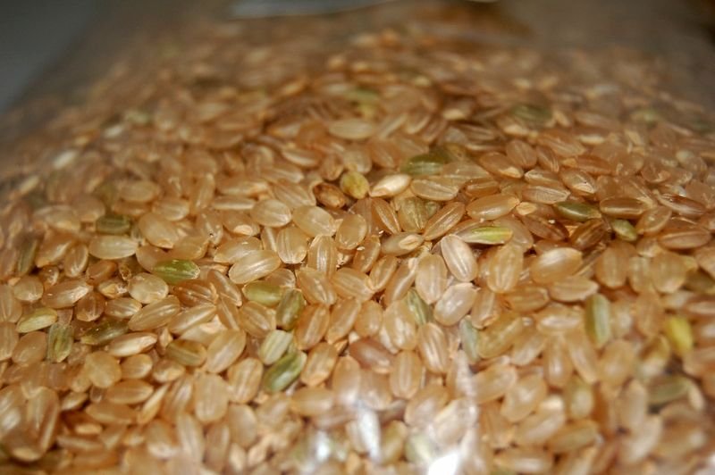 resources of Oats exporters
