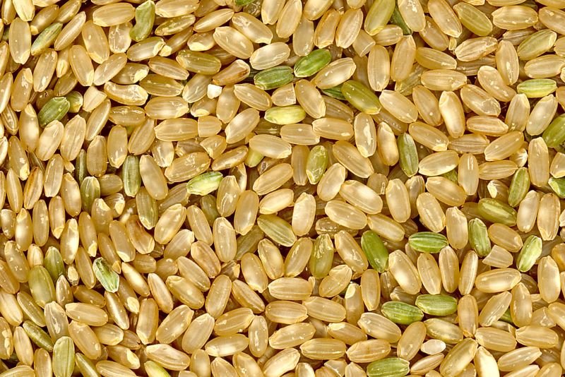 resources of Brown Rice exporters