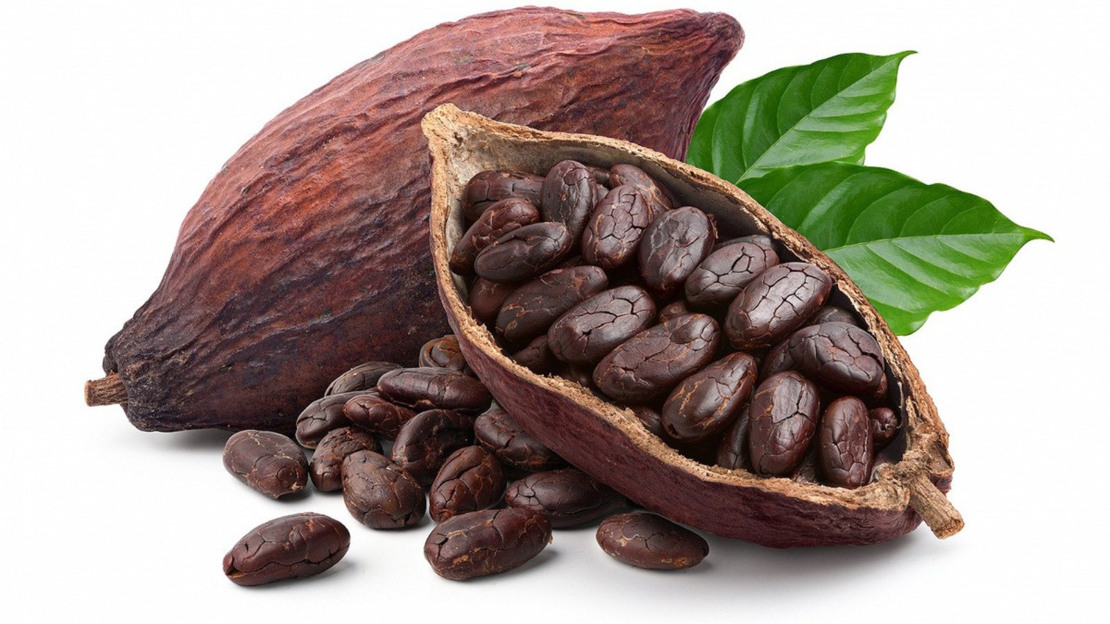 resources of Cacao exporters