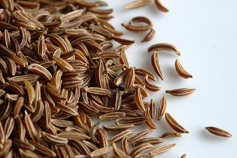 Caraway Seeds Exporters, Wholesaler & Manufacturer | Globaltradeplaza.com
