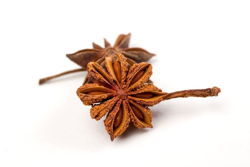 resources of C5 Special - Ceylon Cinnamon Stick exporters