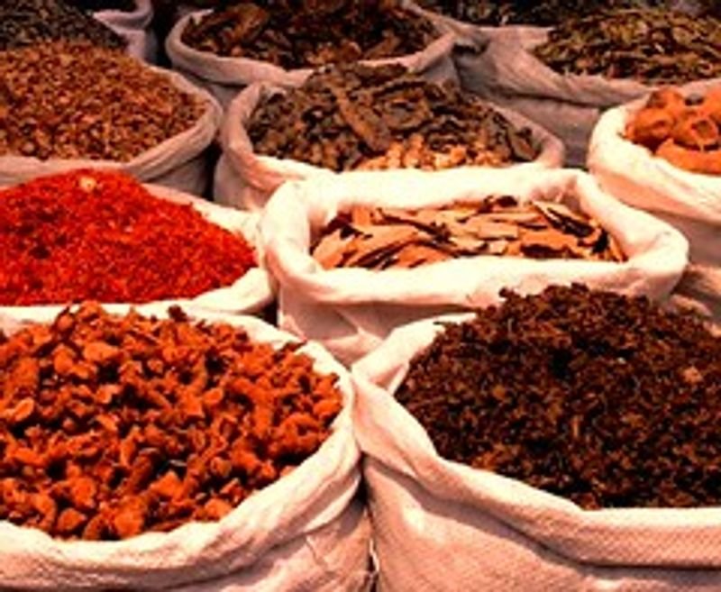 resources of Cinnamon Broken exporters