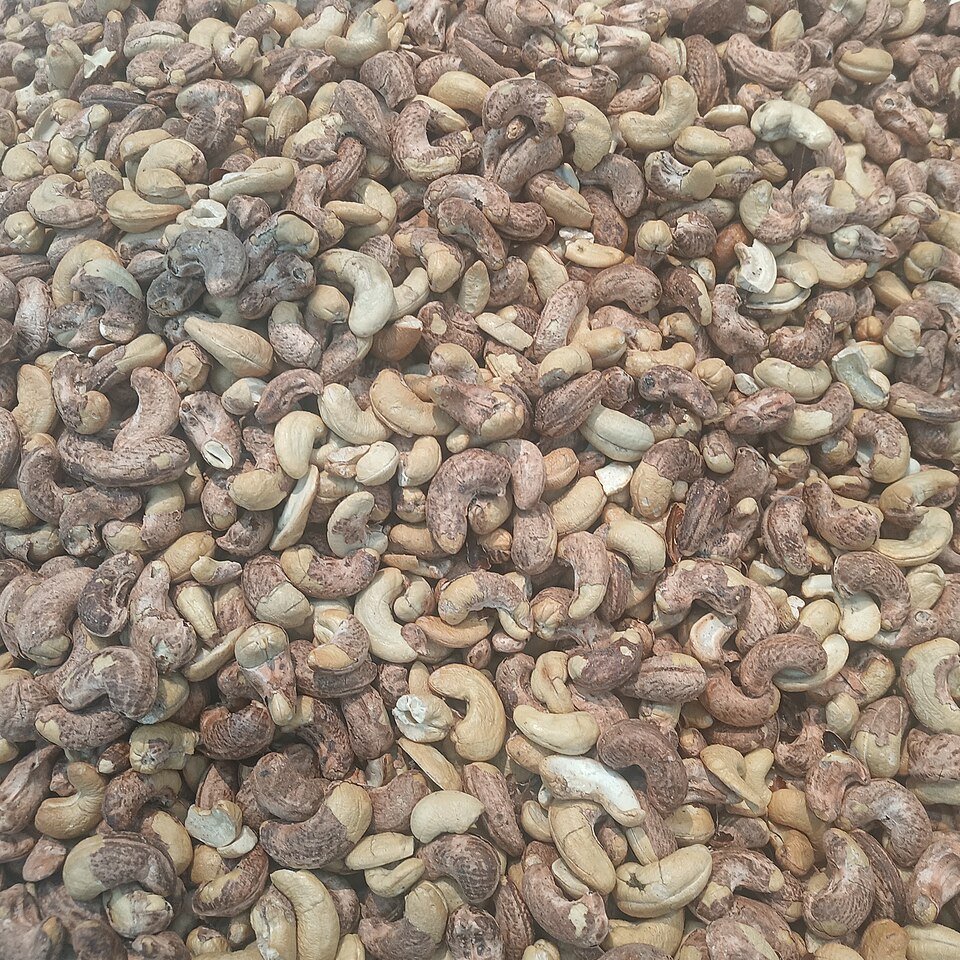 Cashew Nuts Exporters, Wholesaler & Manufacturer | Globaltradeplaza.com