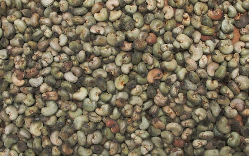 resources of Jumbo Capers exporters