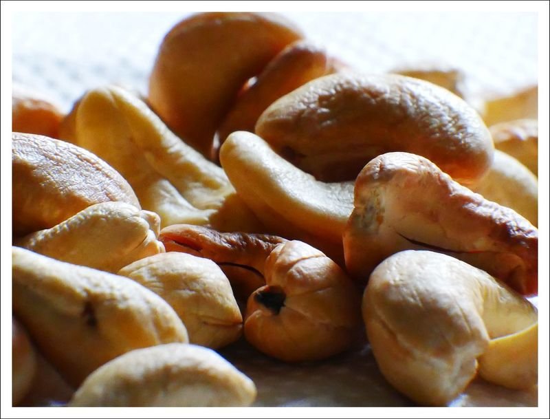 resources of High Quality Cashew Nuts for sale exporters