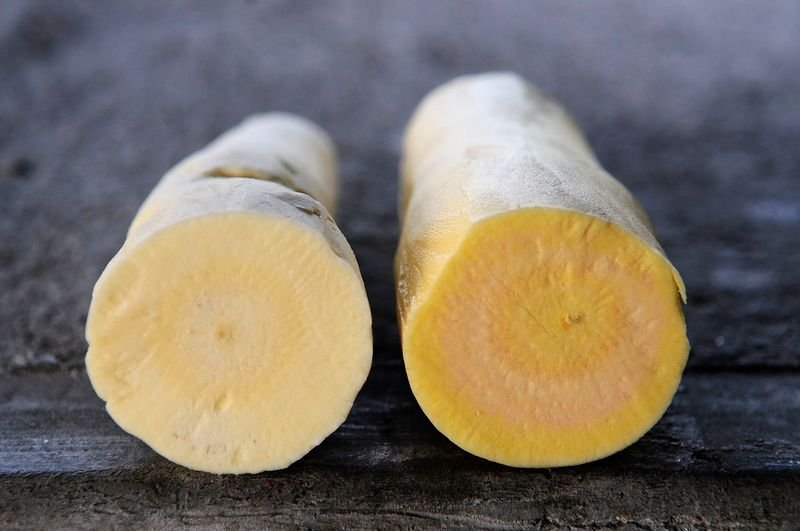 resources of Cassava exporters