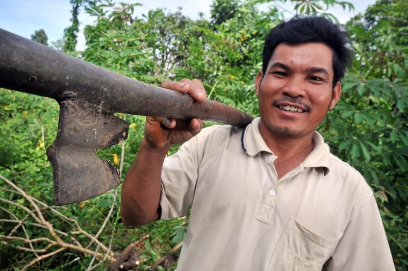 resources of Frozen Cassava - Frozen Vegetables Vietnam exporters