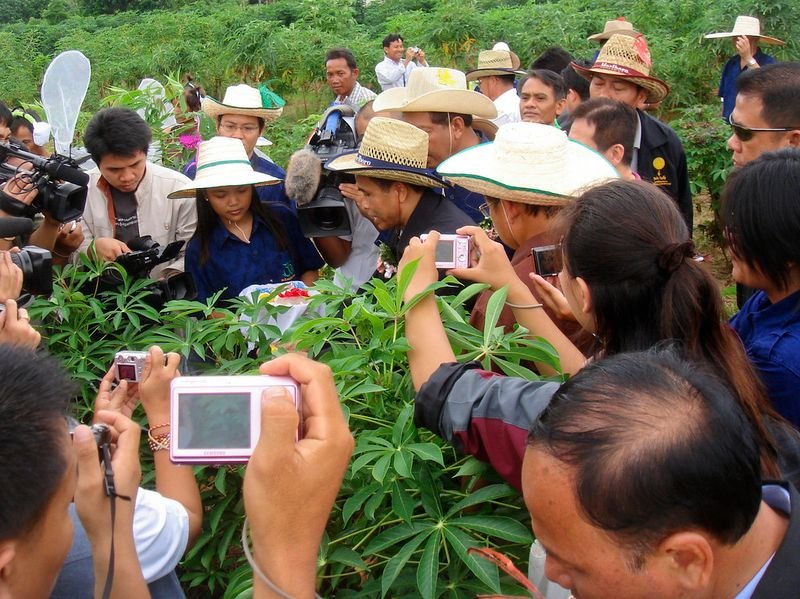 resources of Cassava exporters