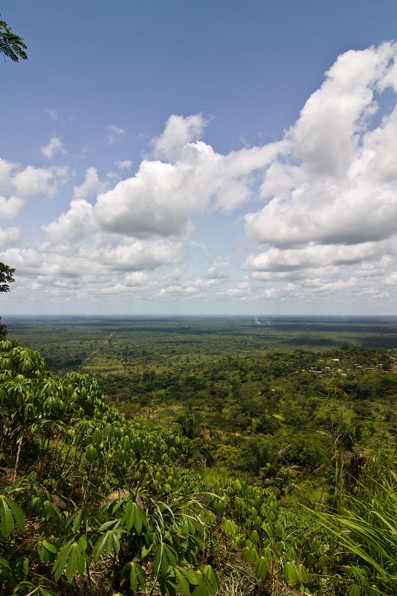 resources of Cassava exporters
