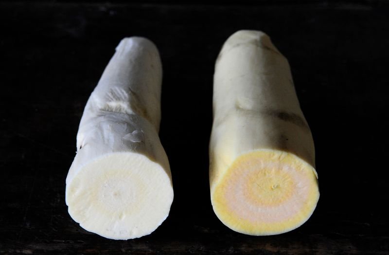 resources of Cassava flour exporters