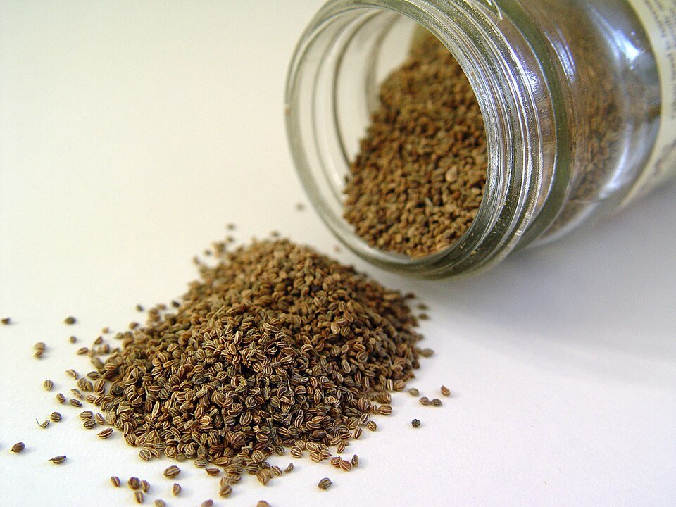 Celery Seeds Exporters, Wholesaler & Manufacturer | Globaltradeplaza.com