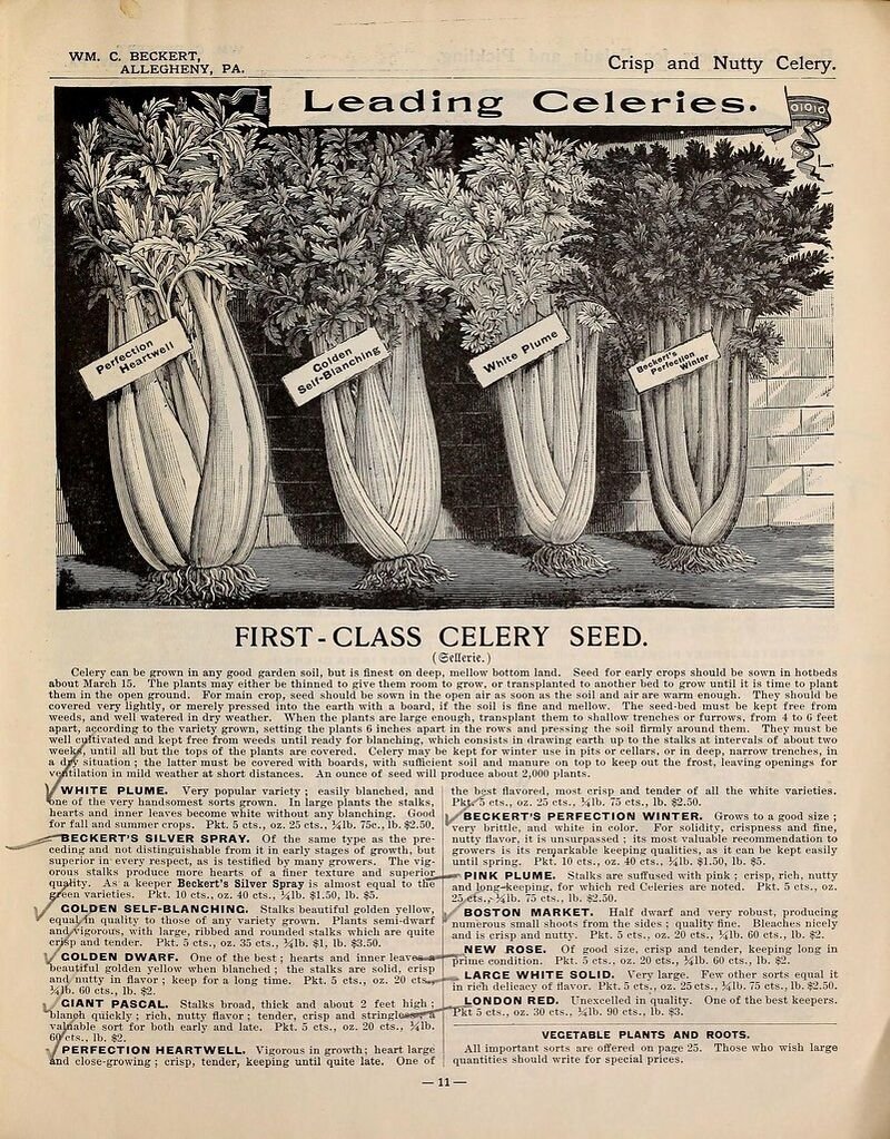 resources of Celery exporters