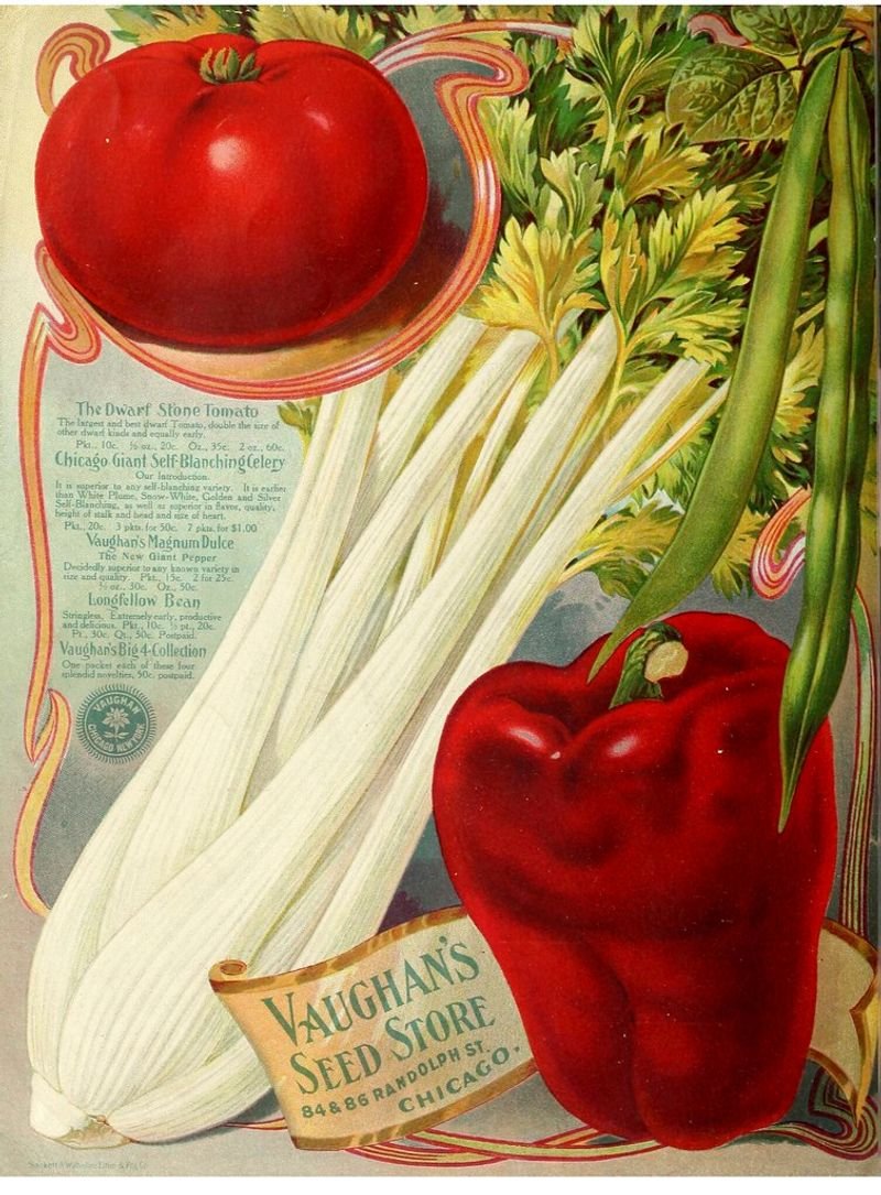 resources of Celery exporters