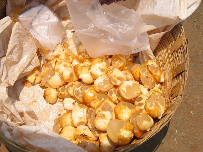 resources of Candlenut exporters