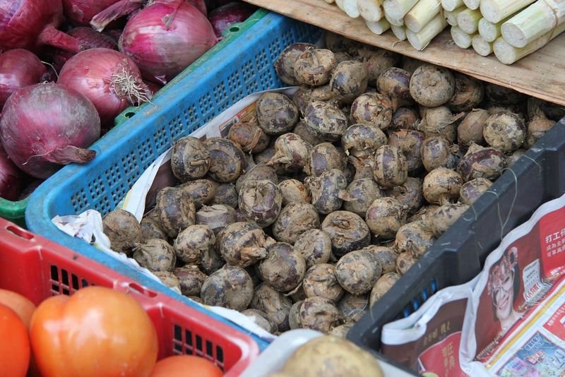 resources of Chestnuts For Sale exporters