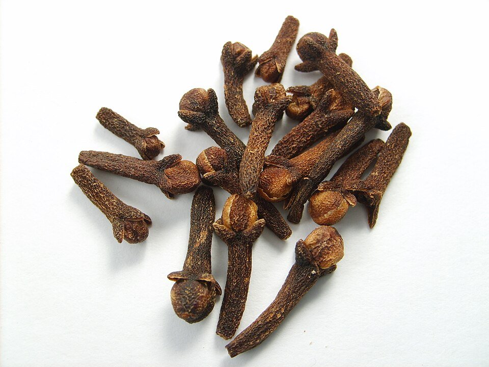 Cloves Exporters, Wholesaler & Manufacturer | Globaltradeplaza.com