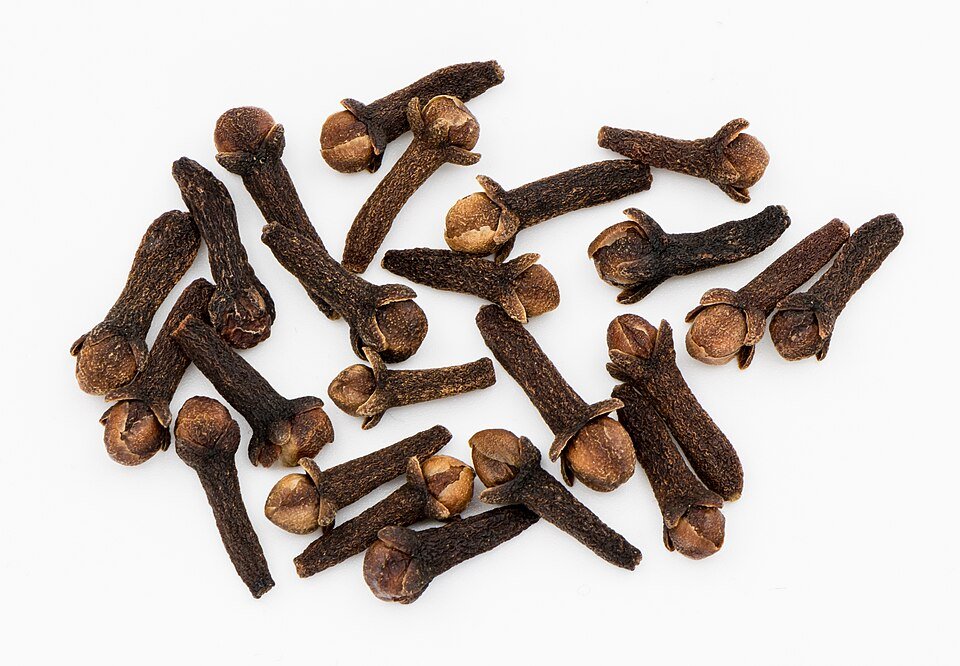 resources of Clove Bud Whole Faq Non Steam Sterilized exporters resources of Clove Bud Whole Faq Non Steam Sterilized exporters