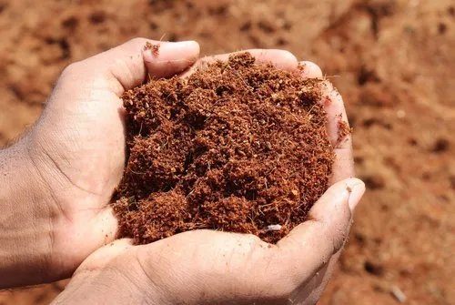 resources of Coco Peat Blocks exporters